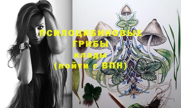 мдпв Белоозёрский