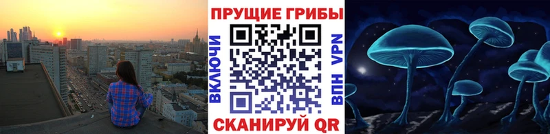 MEGA онион  дарнет шоп  Тогучин  Галлюциногенные грибы Magic Shrooms 